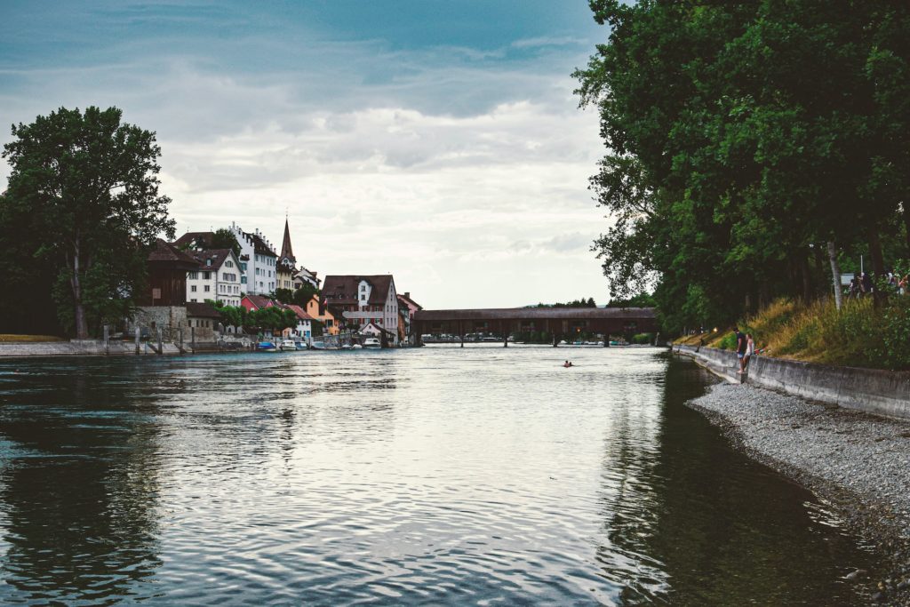 private Hundebetreuung in Diessenhofen am Rhein