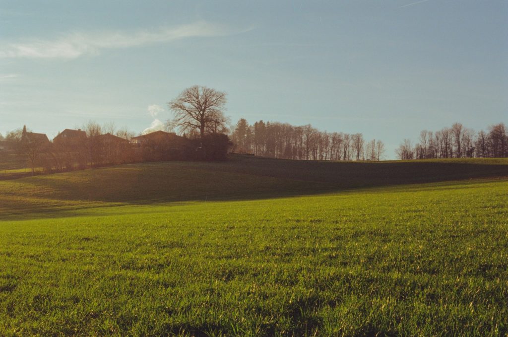 Hundewiese private Hundebetreuung Aarau