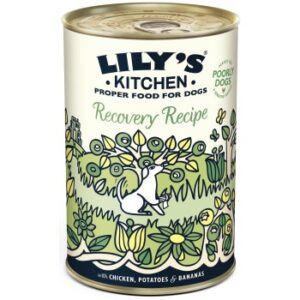 LILY'S KITCHEN Recovery Recipe 6x400g