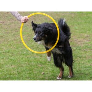 Procyon Agility Ring Ø 60cm
