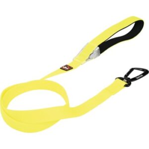 Dogs Creek Leuchtleine Polar Light