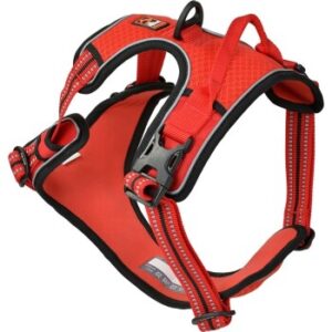 Dogs Creek Geschirr Pathfinder rot L