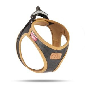 Curli Clasp Geschirr aus Apfelleder schwarz M