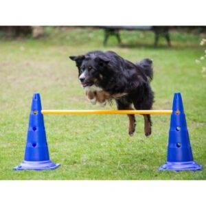 Procyon Agility Stange 100cm
