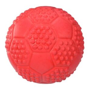 FIT+FUN Ball mit Quietscher