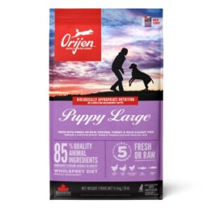 Orijen Puppy Large Breed 11.4 kg