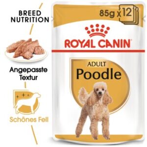 ROYAL CANIN Poodle Adult in Soße 12x85 g