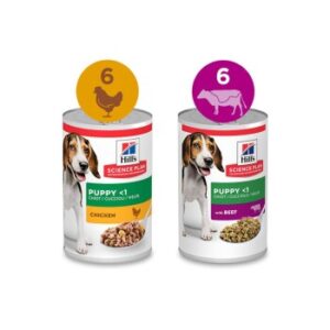 Hill's Science Plan Nassfutter Hund Welpe Huhn & Rind 12x370 g