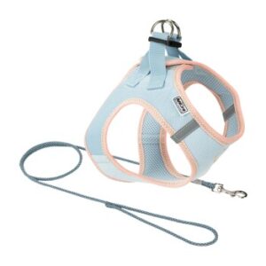 AniOne Pepe&Kitty Welpenset blau S