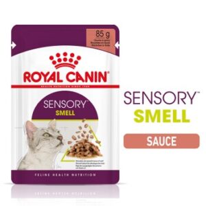 ROYAL CANIN Sensory Smell in Soße für wählerische Katzen 48x85 g