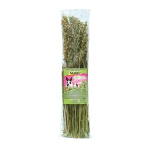 MultiFit Haferrispen 120 g