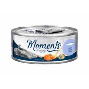 MOMENTS Adult Lachs 12x70 g