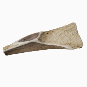 Wellinger TROPHY-Kaugeweih Kaustick XXL