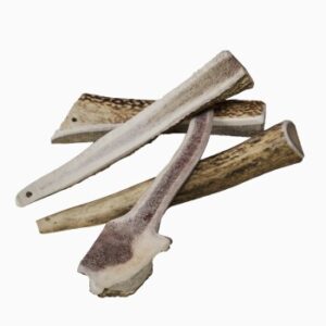 Wellinger TROPHY-Kaugeweih Kaustick L