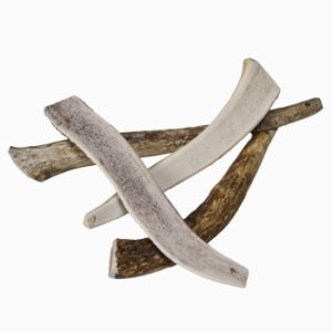 Wellinger TROPHY-Kaugeweih Kaustick M