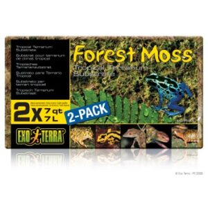 Exo Terra Moos 2er Pack