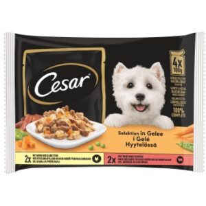 Cesar Selection 8x100g in Gelee