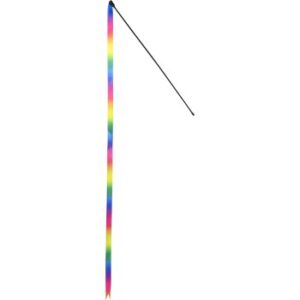 FIT+FUN Spielzeugangel Regenbogen