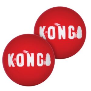 KONG Signature Ball 2er Pack