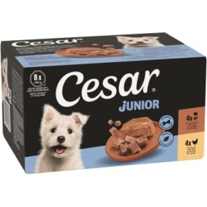 Cesar Nassfutter Junior 2 Varietäten Multipack Huhn, Truthahn 8x150g