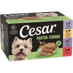 Cesar Nassfutter Hund Adult Multipack Garden Terrine 3x8x150g