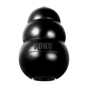 KONG Extreme L