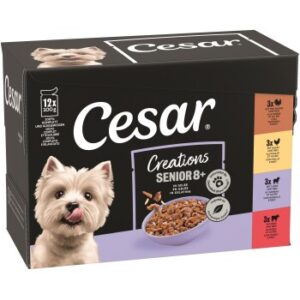 Cesar Creations Nassfutter Hund Senior Senior in Gelee 4x12x100g