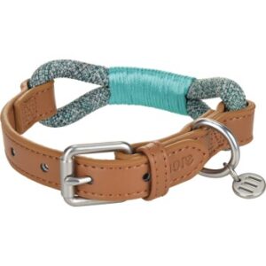 more Lifestyle Tau-Halsband türkis L